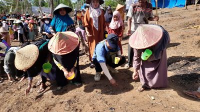 Kemenparekraf Gelar Festival Ngaseuk Huma di Kampung Buluh Pandeglang