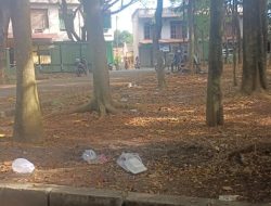 Taman Kodok Kumuh: Simbol Abainya Pengelolaan Kota Cilegon