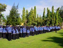 Kepala BKN: Honorer di Instansi Ini Tak Bisa Diangkat PPPK Meski Lolos Seleksi!