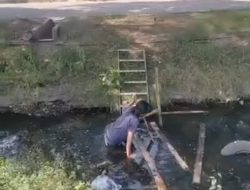 Lewat Tangga, Tercebur Sungai: Jalan Terjal Buruh Outsourcing Pabrik Tepung