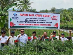 Dari Cilegon untuk Indonesia: HIPPI dan Koperasi Bangun Kekuatan Pangan Lokal