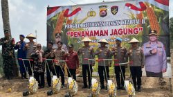 Penanaman Jagung di Lahan Eks Galian, Camat Cilegon Dorong Reboisasi Sekaligus Ketahanan Pangan