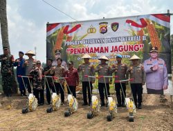 Penanaman Jagung di Lahan Eks Galian, Camat Cilegon Dorong Reboisasi Sekaligus Ketahanan Pangan
