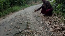27 Tahun Cilegon, Jalan Watu Lawang Masih Terlupakan: 450 Meter Rusak, Warga Bangun Sendiri